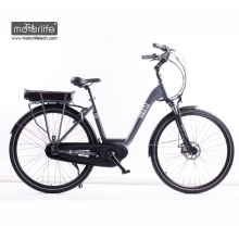 BAFANG mid-drive 36V250W best quality electric bike for sale